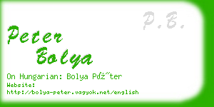 peter bolya business card